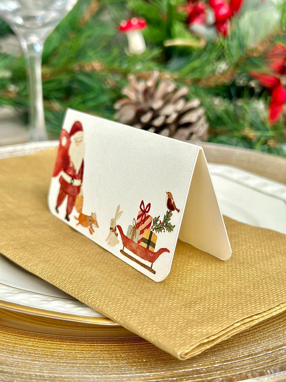 Place Card Polo Norte