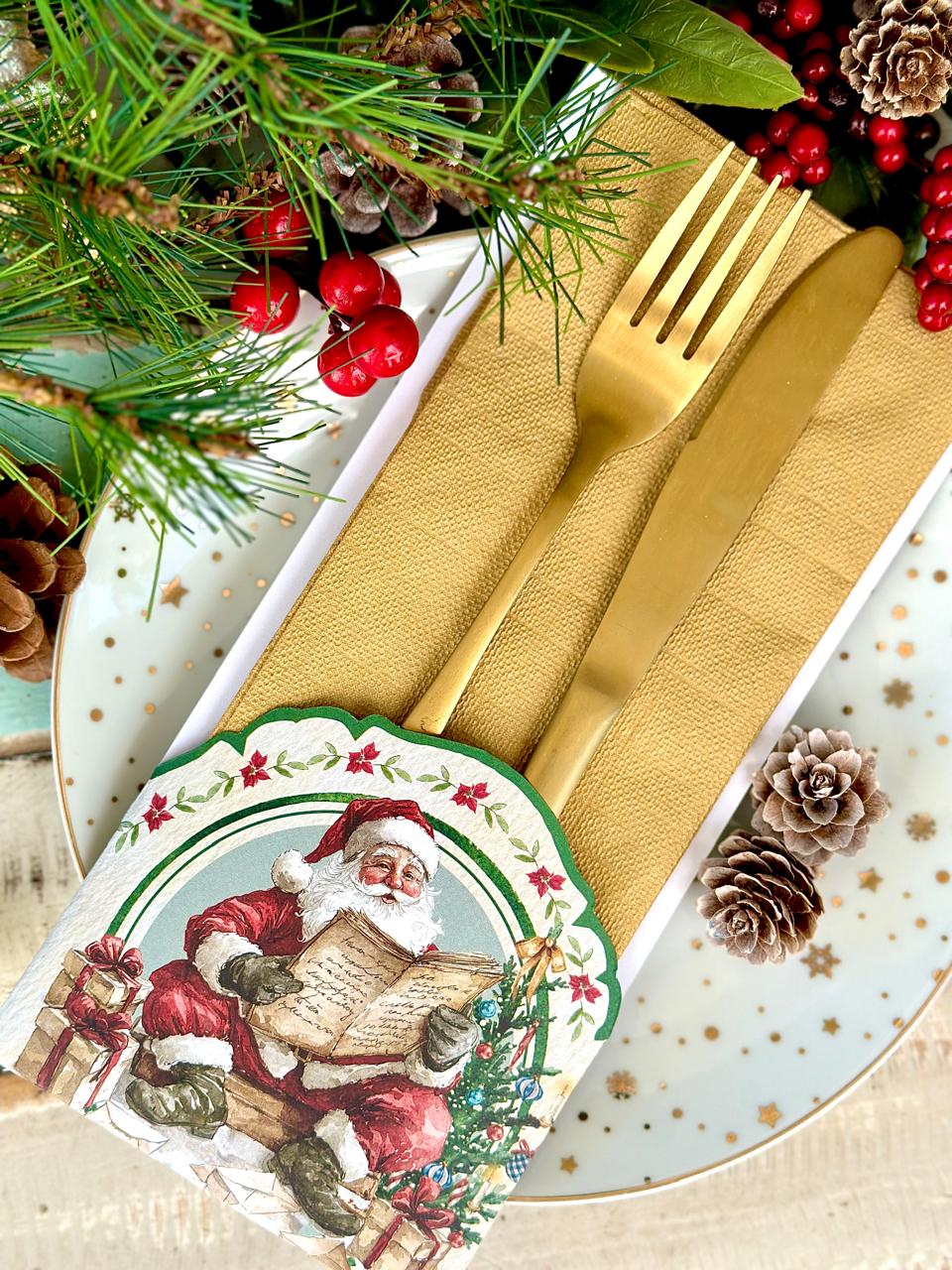 Porta Cubierto Santa