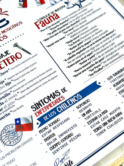 Individual Esto es Chile